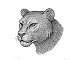 The Untamed Icon